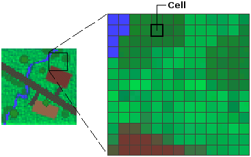 The cells in a raster