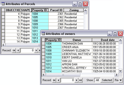 The parcels feature class table is linked to the owners table through the common Property ID field