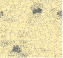 Dot density map
