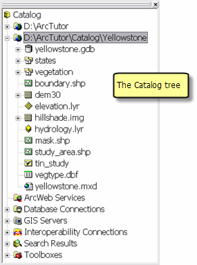 The left-hand Catalog tree panel in ArcCatalog is used to navigate between workspaces, geodatabases, and dataset contents