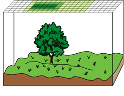 Understanding discrete continuous 4