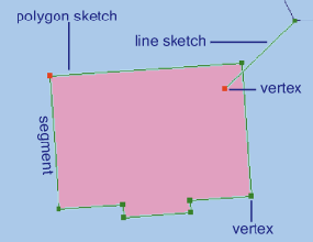 Line and polygon sketches