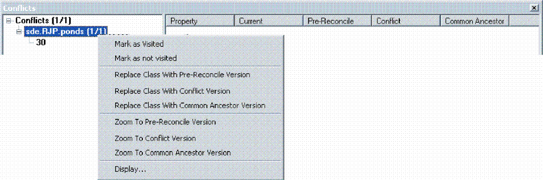 ArcGIS Desktop Help 9.2 - Reviewing conflicts