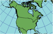 Illustration of Albers Equal Area Conic projection