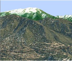 ArcGlobe image data with elevation