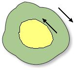 direction of polygon boudaries