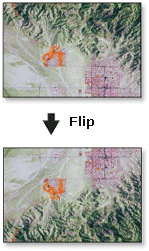 Flip illustration