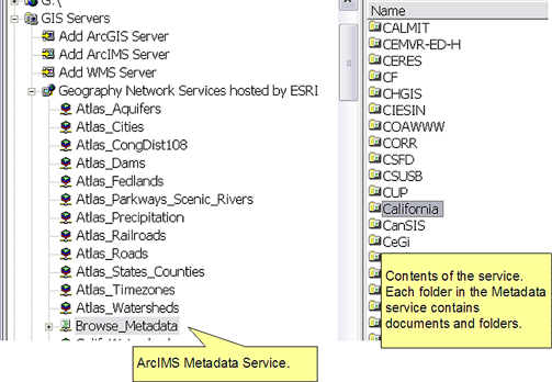 Metadata service in the catalog tree