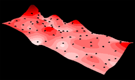 Surface model of chemical concentration across an area