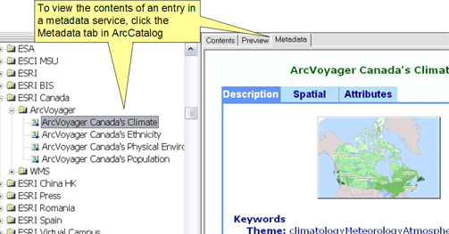 Viewing metadata in a metadata service