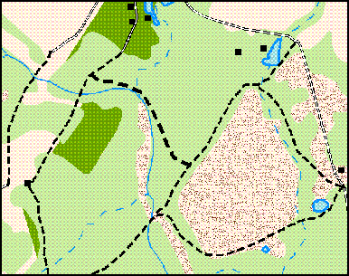 Stroke weight overridden to emphasize one trail.