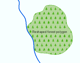 The forest polygon has been reshaped to match the river line.