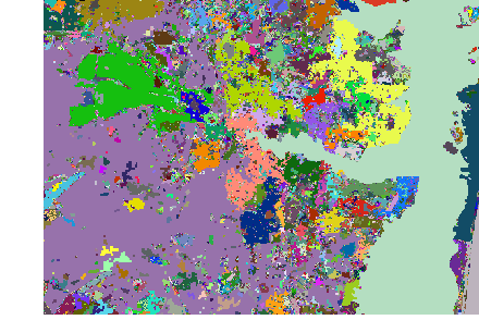 Raster after Region Group applied