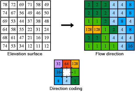 Coding of the direction of flow