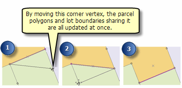 An example of editing shared geometry