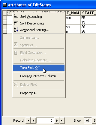 The Turn Field Off context menu in the Attribute view.