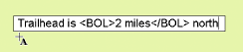 Bold formatting tag