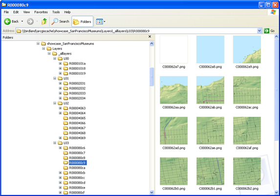 Cache tiles viewed in Windows Explorer