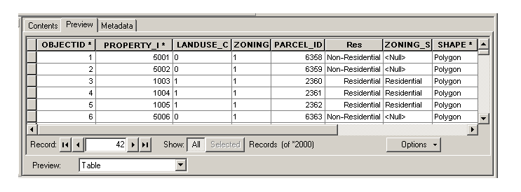 Preview of the Parcel attribute table