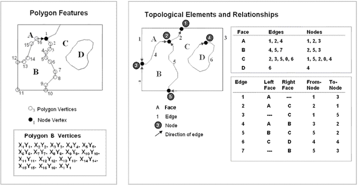 The Feature View and The Topology View.