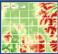 Raster dataset